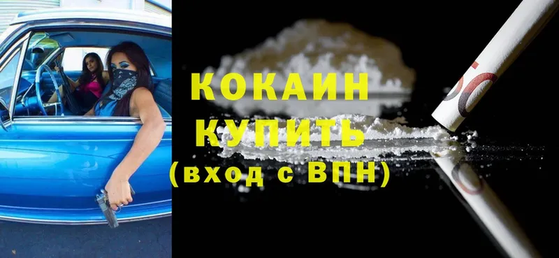 COCAIN FishScale  где можно купить   Кондопога 