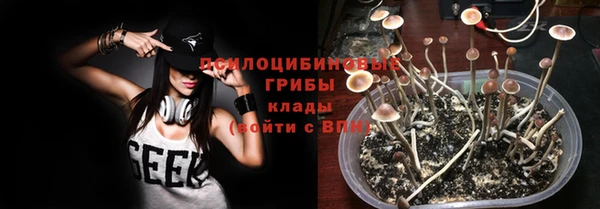 прущие грибы Пестово