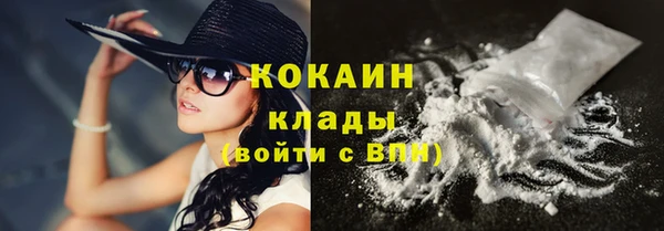 винт Пересвет