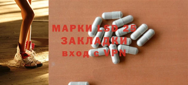 прущие грибы Пестово