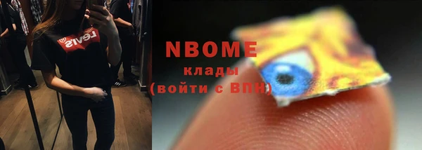 прущие грибы Пестово