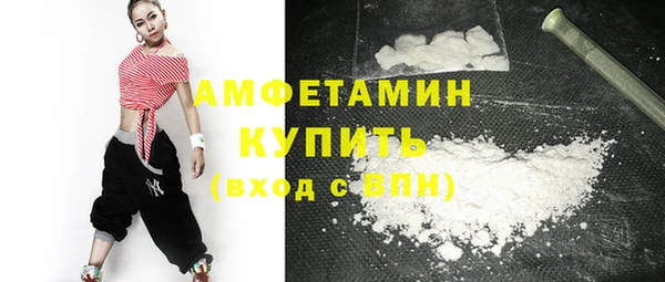 винт Пересвет