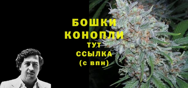 винт Пересвет