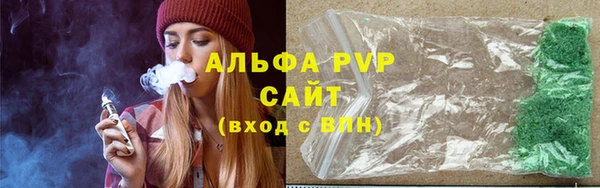 прущие грибы Пестово