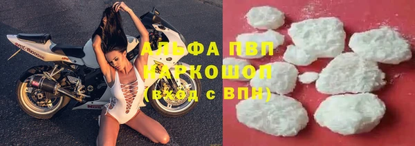 прущие грибы Пестово