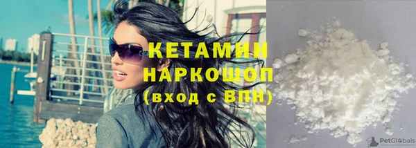 прущие грибы Пестово