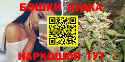 прущие крисы Бийск