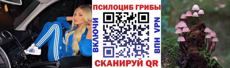 Псилоцибиновые грибы Psilocybe  закладки  Кондопога 