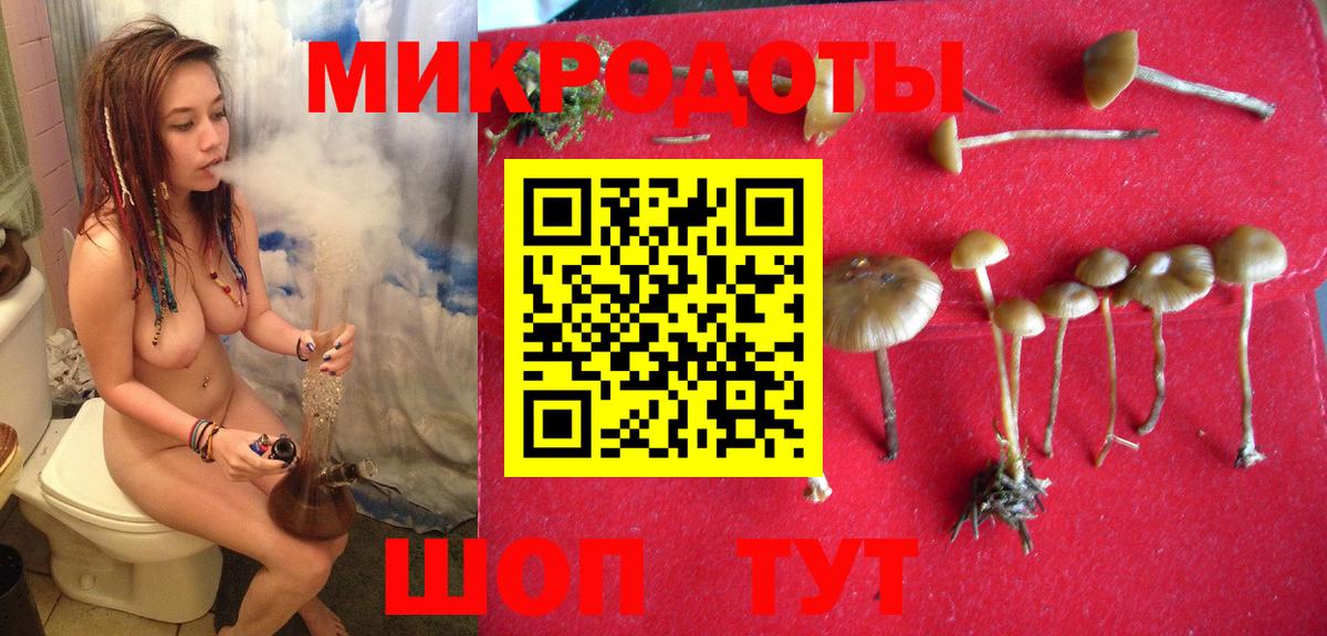 Галлюциногенные грибы мицелий  Псилоцибиновые грибы Cubensis  Вход с VPN  Кондопога 