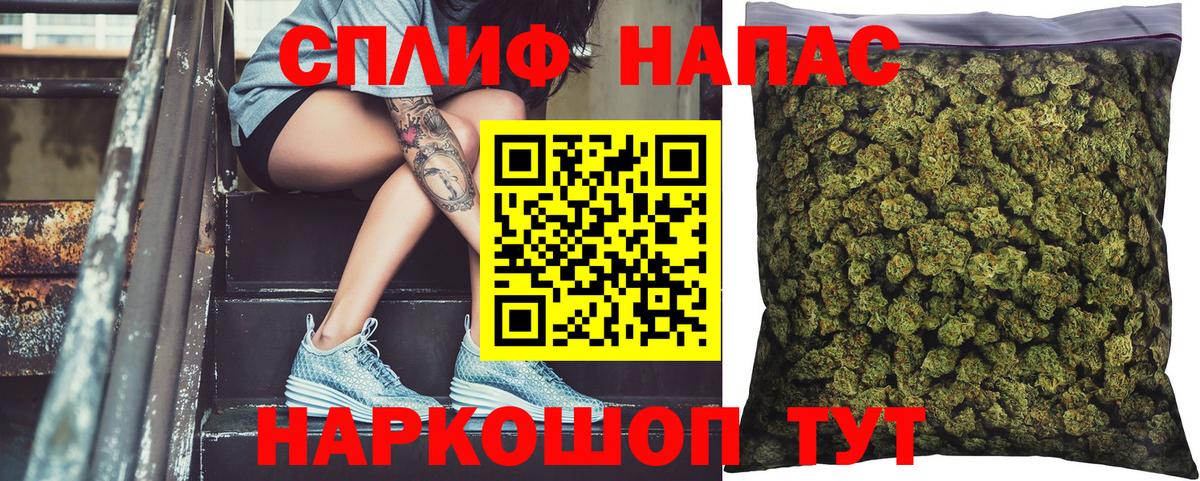 Шишки марихуана гибрид Кондопога